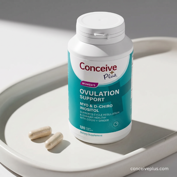 Supplement bottle labeled 'Conceive Plus' on a white surface with two capsules beside it.